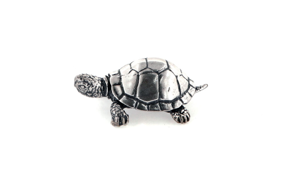 Χελώνα Μινιατούρα