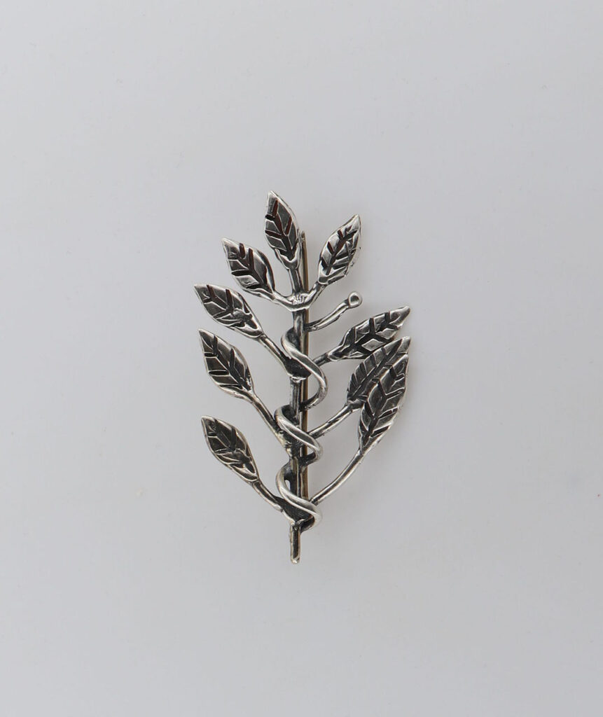 Καρφίτσα Ασημένια με τριανταφυλλιά